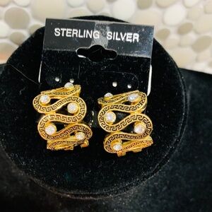 E73- Gold Plated with CZ BN earrings